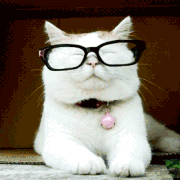 cats-eye-glasses-gif