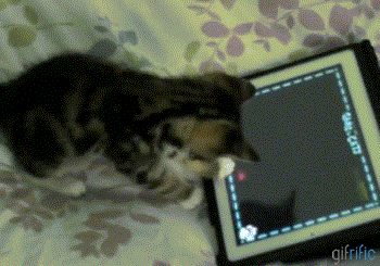 Cat-Playing-Game-on-iPad
